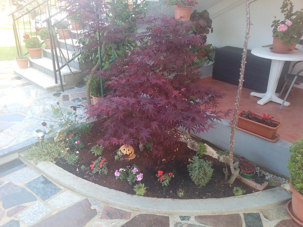 אומאג Apartment Gogo מראה חיצוני תמונה